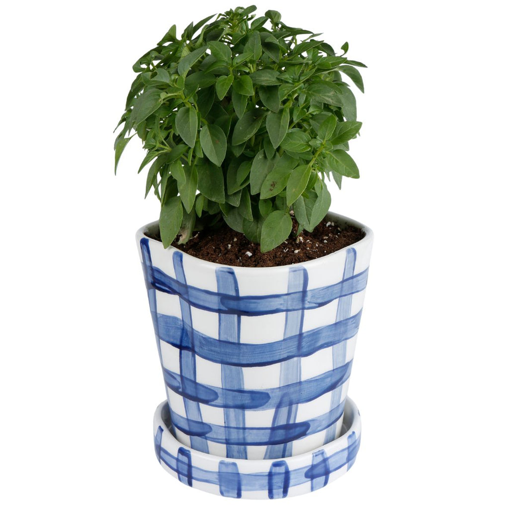 VICHY BLUE PLANTER