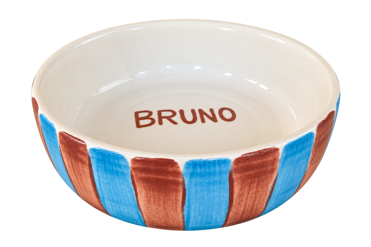 Light blue & brown stripes pet bowl