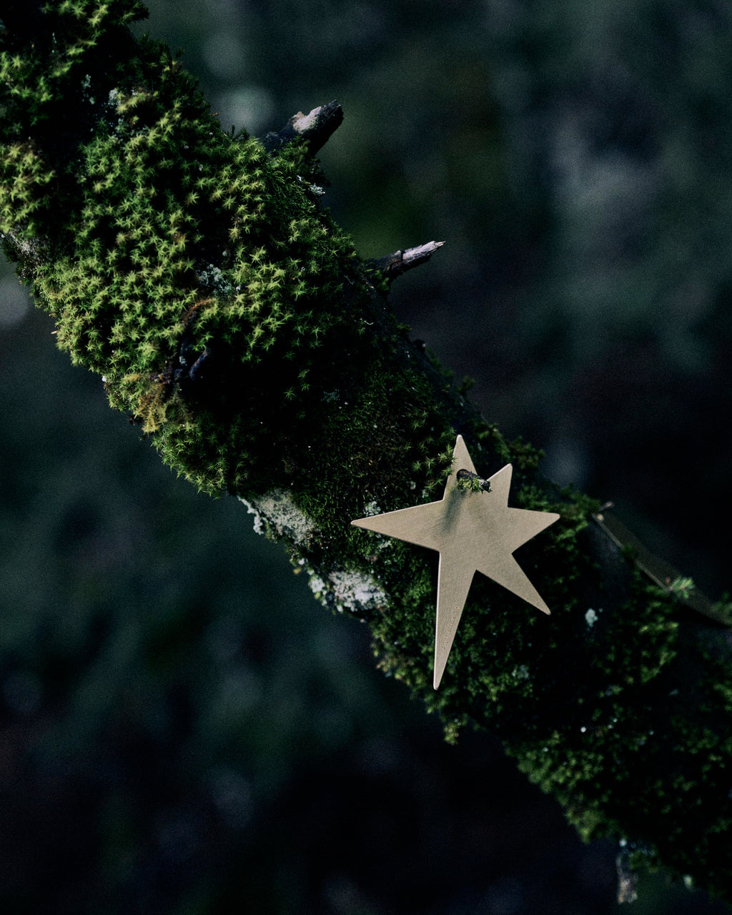 STAR ORNAMENT