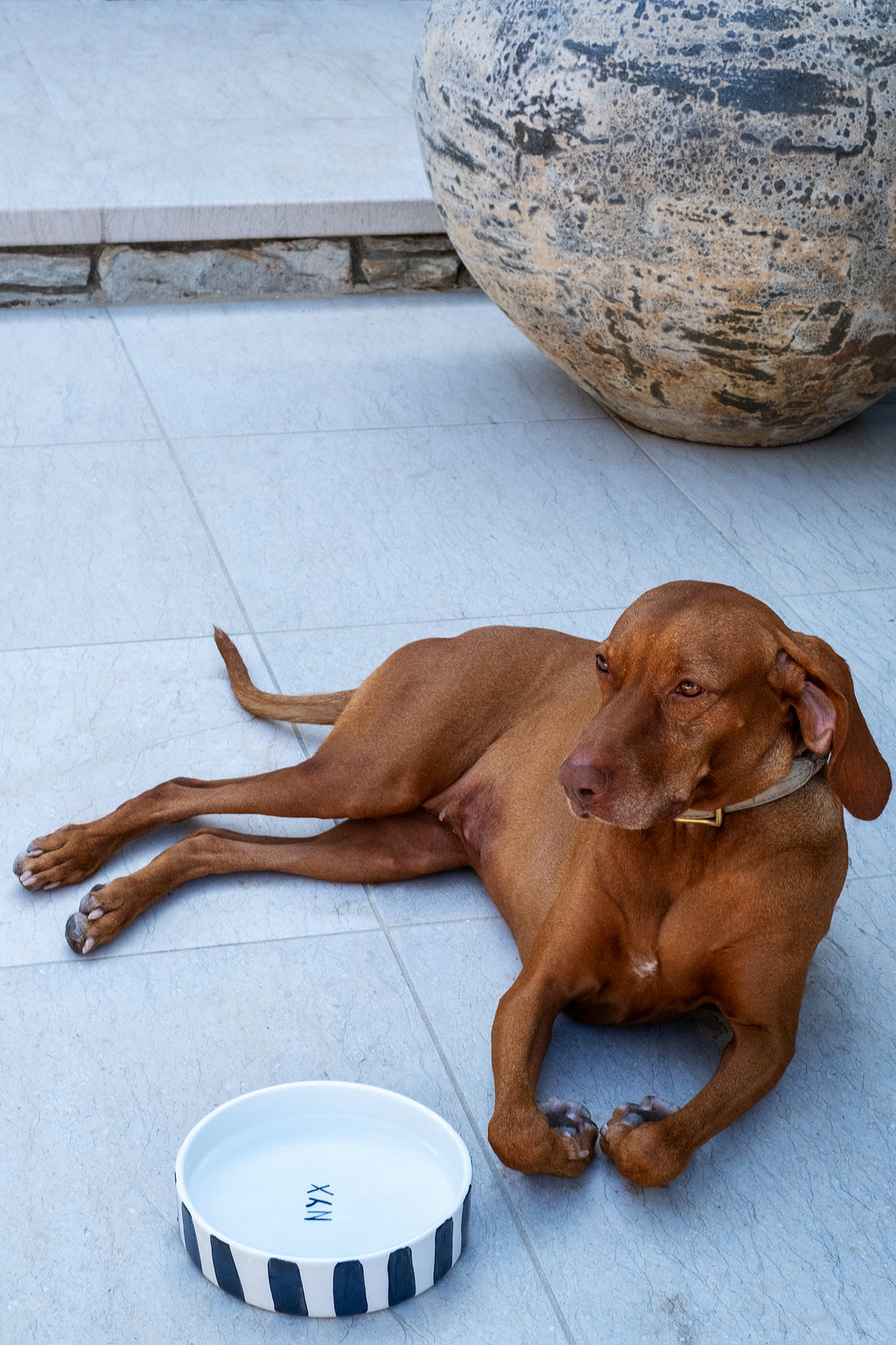 B&W STRIPES DOG BOWL