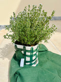 Vichy green planter