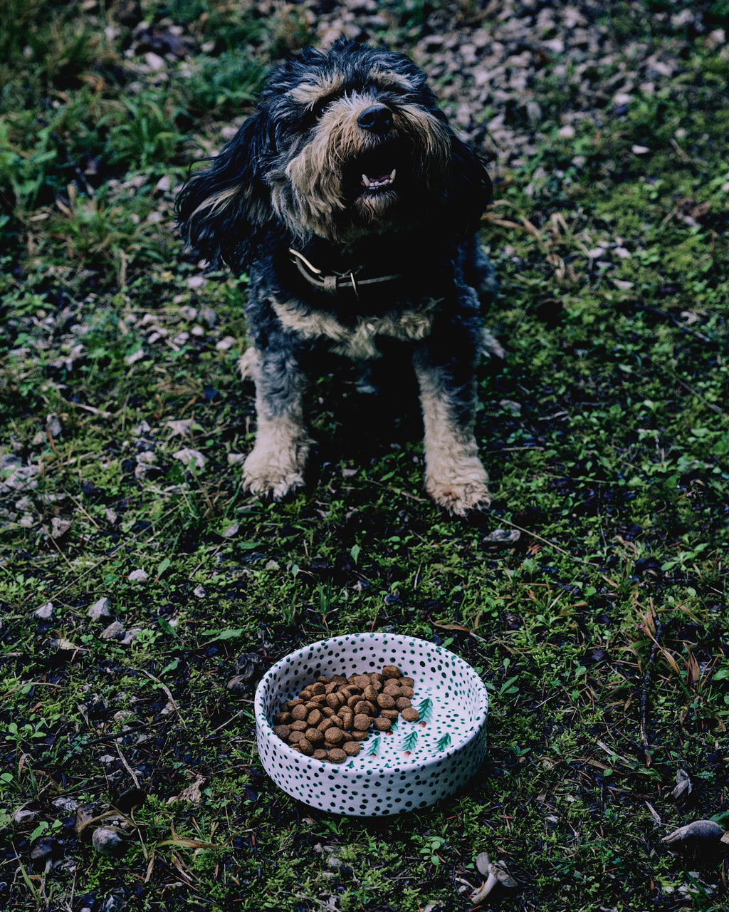 Handmade ceramic pet bowl with green design by Rhea Kalo, made in Athens Greece