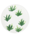 Plants plate