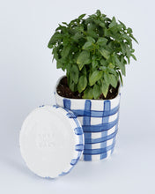 Load image into Gallery viewer, VICHY BLUE PLANTER

