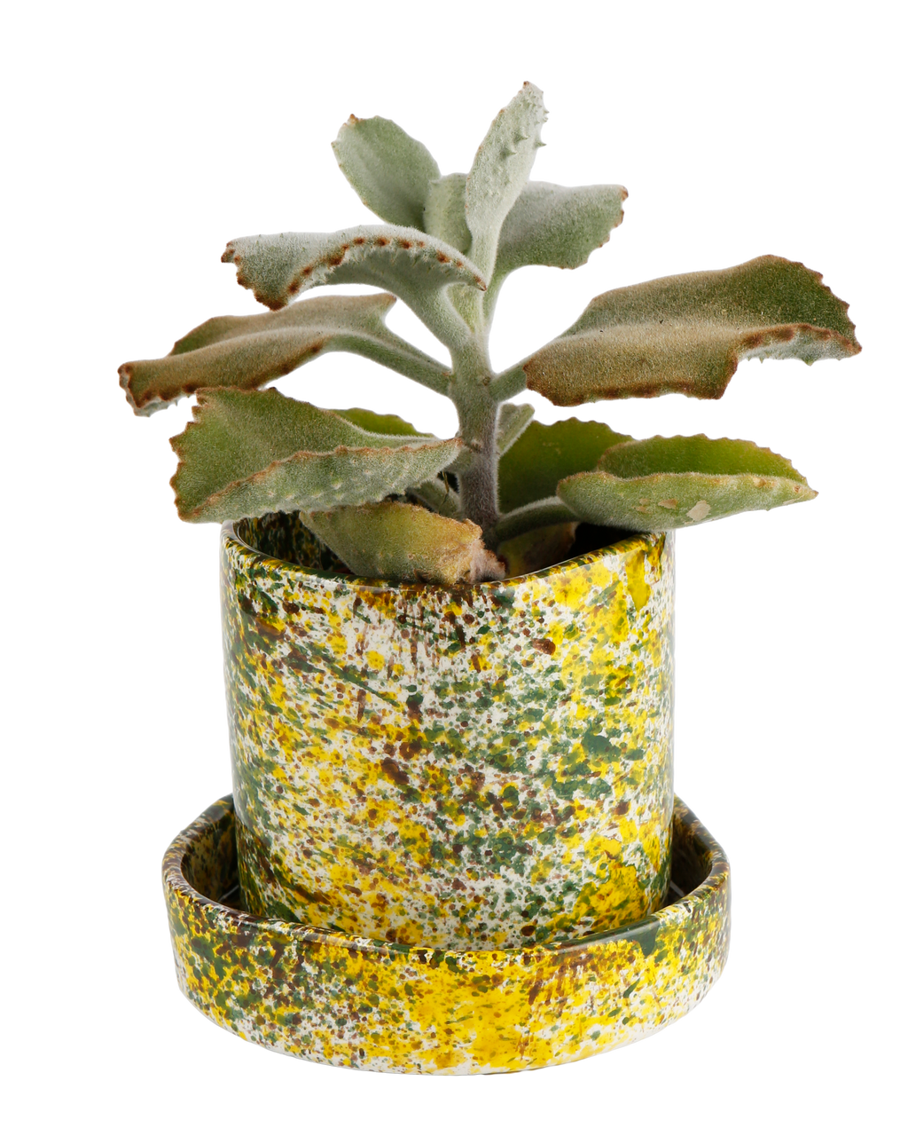 Yellow forest planter